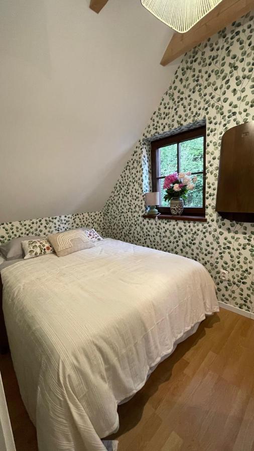 Borowka Ferienhaus Ujsoły